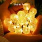 Waterproof Solar String Lights for Outdoor Warm Light 5